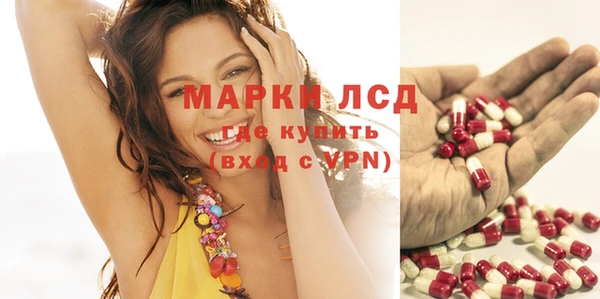 стаф Нефтегорск