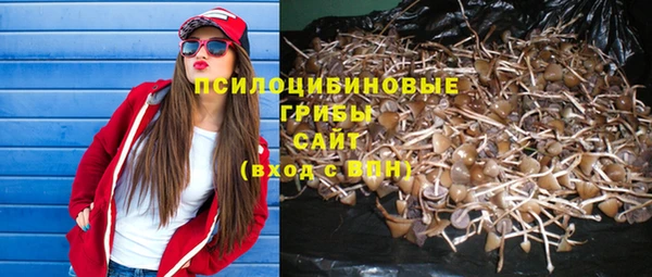 стаф Нефтегорск