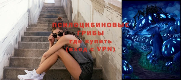 стафф Нея