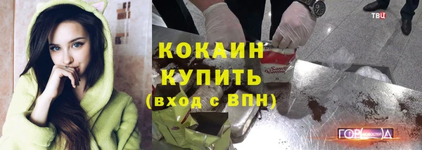 стаф Нефтегорск