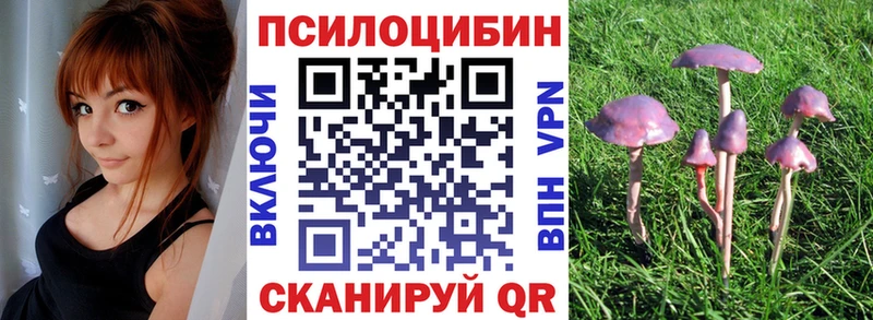 mega ссылки Новосиль Галлюциногенные грибы Psilocybe